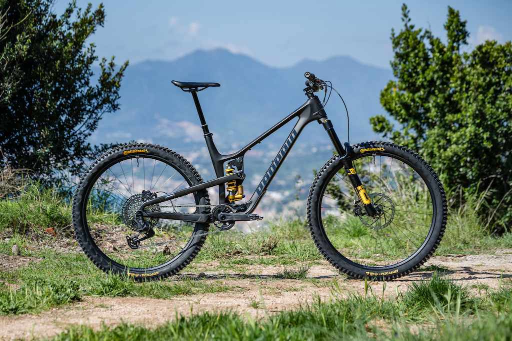 Propain ra mắt mẫu Enduro Tyee 2025